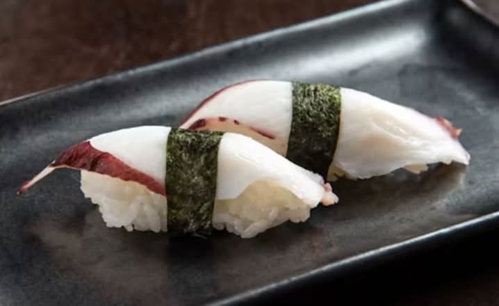 Ns8 Octopus Tako 章鱼